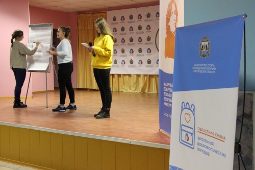 Инициативы школьных добровольческих отрядов Новгородской области получат экспертную поддержку
