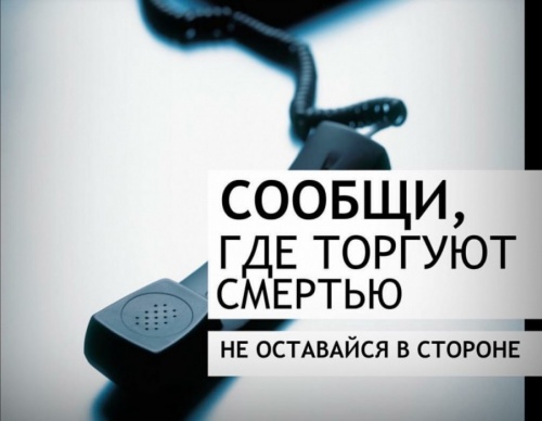 В Новгородской области проходит акция «Сообщи, где торгуют смертью»